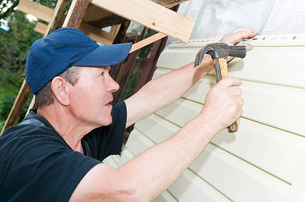 Best Vinyl Siding Installation  in Valparaiso, IN